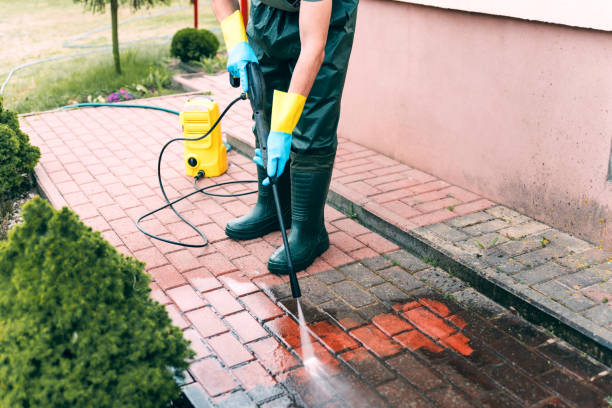 Best Sidewalk and Walkway Cleaning  in Maplewood, MO